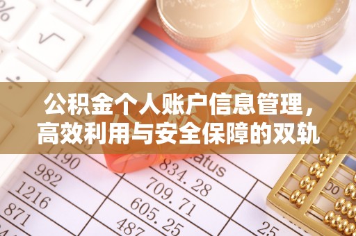 茂林公积金个人账户信息管理，高效利用与安全保障的双轨并行