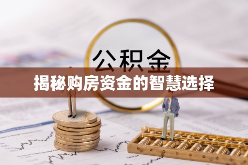 茂林揭秘购房资金的智慧选择