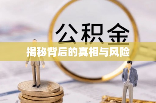 茂林揭秘背后的真相与风险