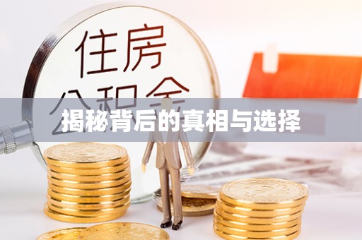 茂林揭秘背后的真相与选择