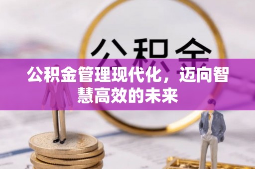 茂林公积金管理现代化，迈向智慧高效的未来