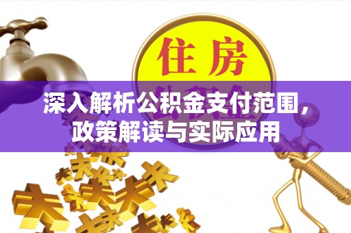 茂林深入解析公积金支付范围，政策解读与实际应用